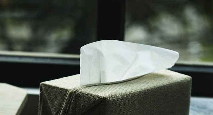 Podcast: Alison Hammer | What are You Really Crying About?