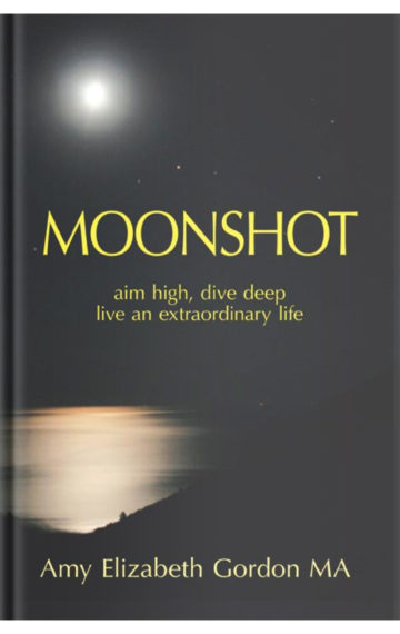 Moonshot