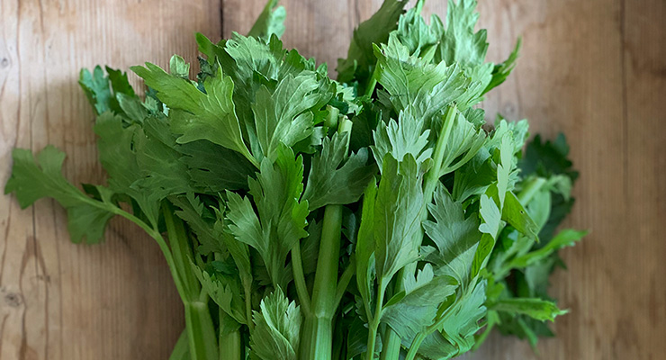 Celery Juice Curious? Q&A With Anthony William aka the Medical Medium