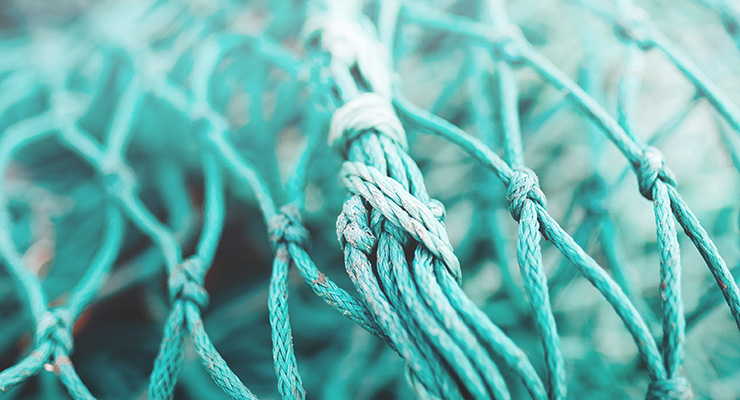 To Sea or Not to Sea: An Entrepreneur’s Vision For Environmental Change