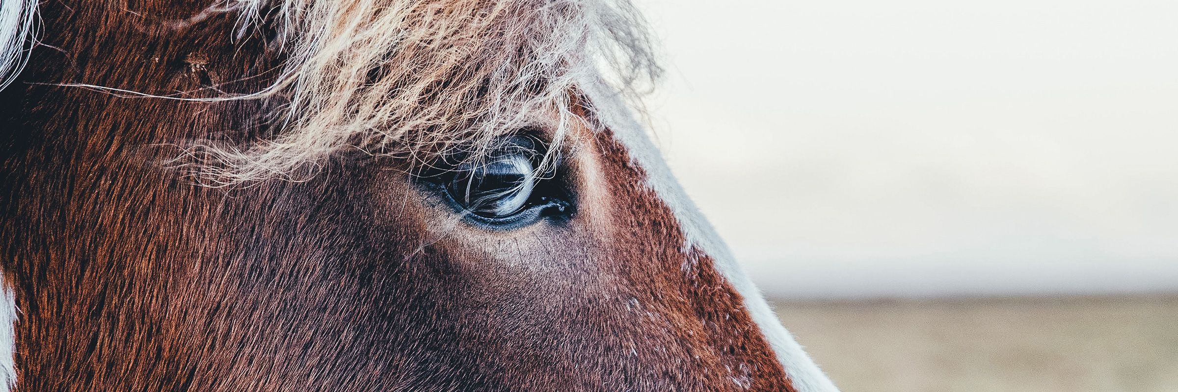 jorge-vasconez-186807-unsplash