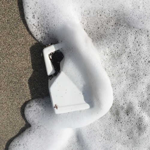 Motor oil bottle washed ashore in Miami Beach, photograph by Kristen Noel