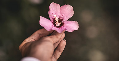 Podcast: Laleh Hancock | Path to Prosperity: A Refugee Shares her Journey of Resilience and 5 Principles to Live By