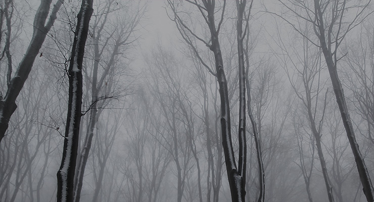 13 Holy Nights: Reclaiming the True Magic of the Solstice Season