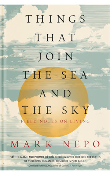 Things That Join the Sea and the Sky