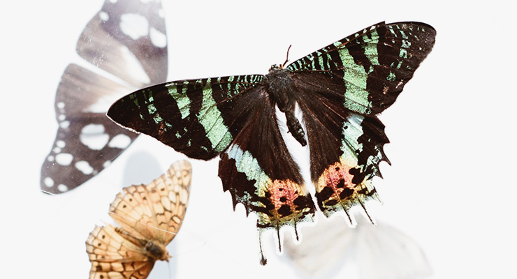 Podcast: Matt Kahn | Transformation & Collaboration: Redefining The Law of Attraction