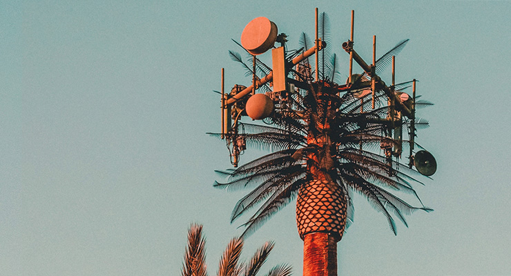 Social Greedia: Has Our Evolution Been Derailed?