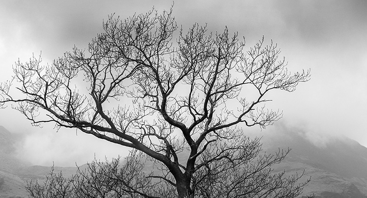 Podcast: Ron Baker | Dancing With Life in a Time of Global Challenge