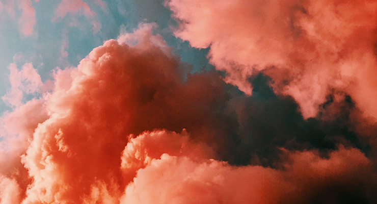 Radical Love: Rethinking Our Relationship to Nature and Each Other