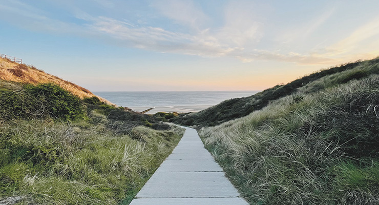 Podcast: Steve Farrell | Choosing Your Path Anew Each DayPodcast: Steve Farrell |